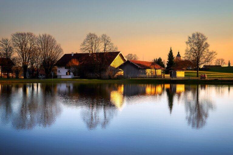 Creating a Home Bar: Design Ideas for Entertaining in Style